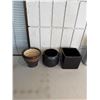 Image 1 : Planter pots