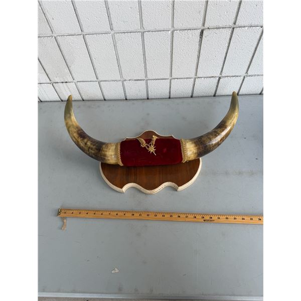 Horn decor