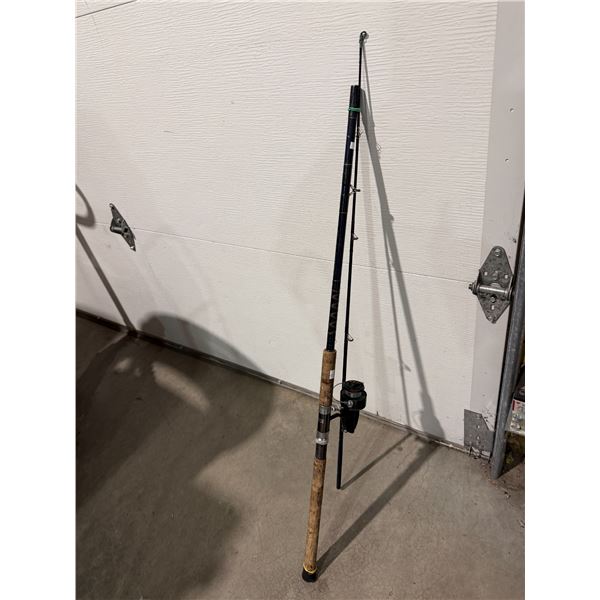 Fishing rod and reel