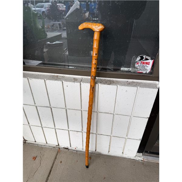 Walking stick