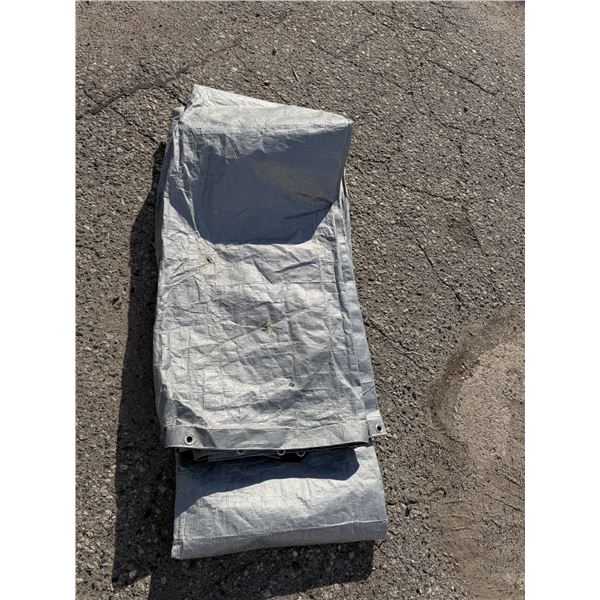 Tarp