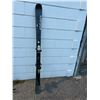 Image 1 : Elan fusion skis