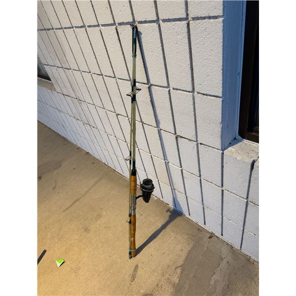 Fishing rod with Real