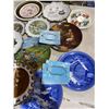 Image 2 : Collector plates