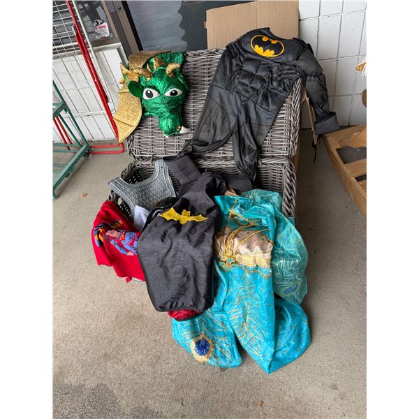 Costumes and chest