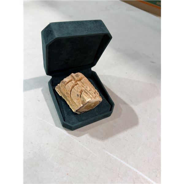 Petrified wood
