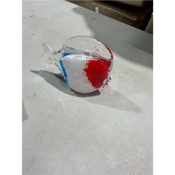 Glass fish