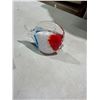 Image 1 : Glass fish