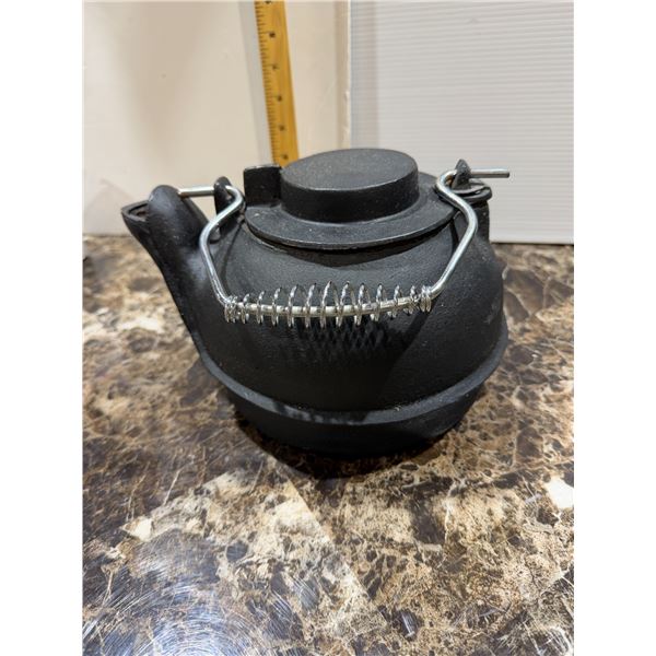 Cast iron Kettle
