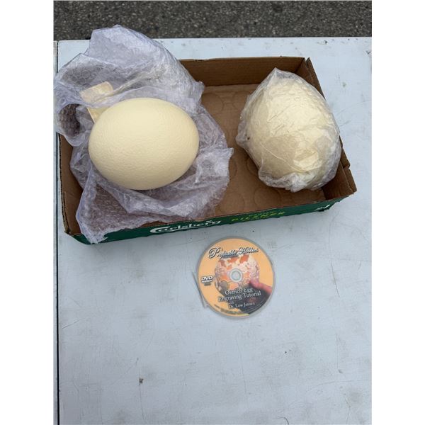 Ostrich Eggs