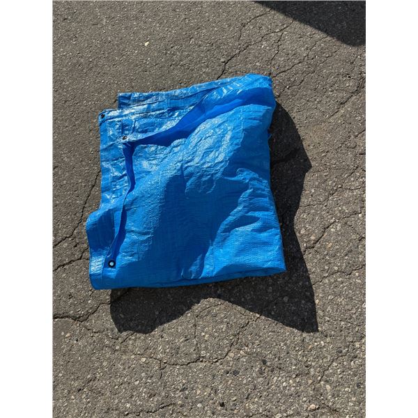 Tarp