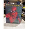 Image 1 : Spider-Man wall hanging 16" x 20"
