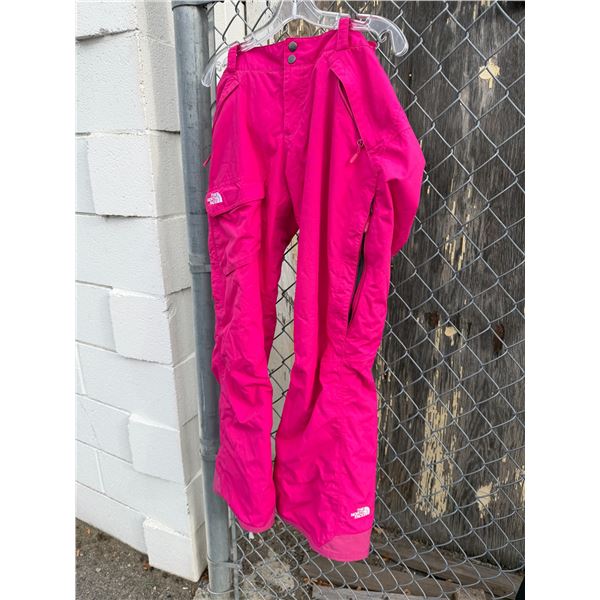 Northface ski pants large