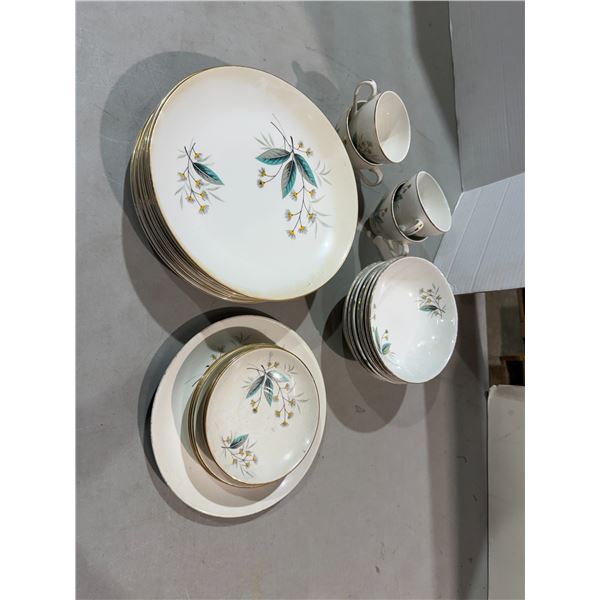 SWINNERTONS iron stone made in England dishes