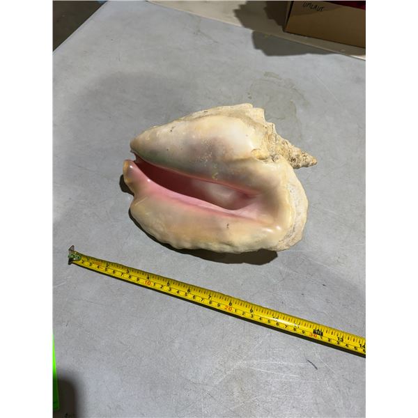 Shell