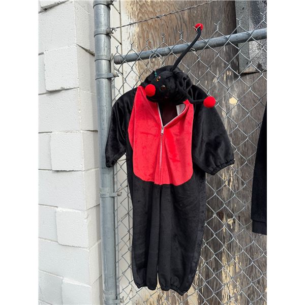 Lady bug size 3/4