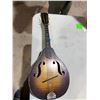 Image 1 : Mandolin made in the USA