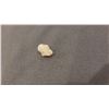 Image 2 : 3.20ct Rough Opal stone