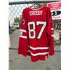 Image 2 : Crosby jersey
