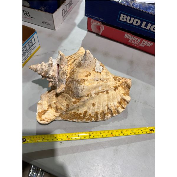 Shell