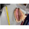 Image 2 : Shell