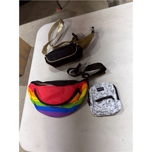 Fanny packs, and other pouch