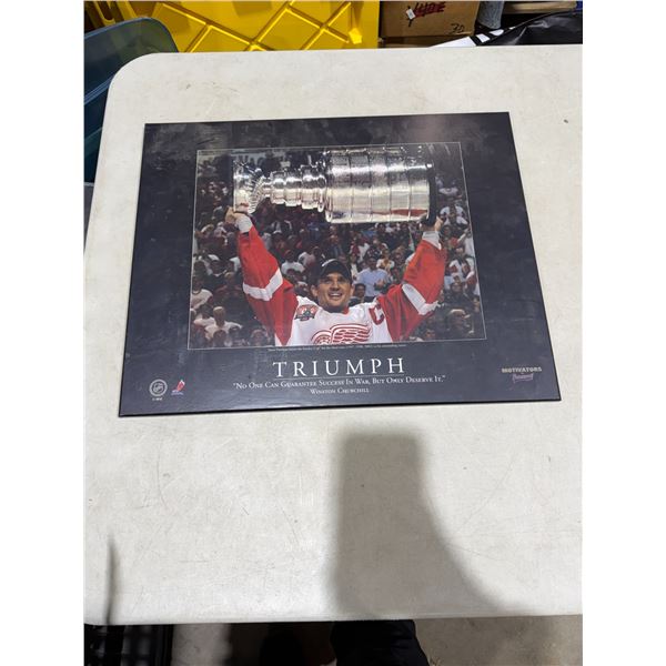 Triumph Hockey collectible
