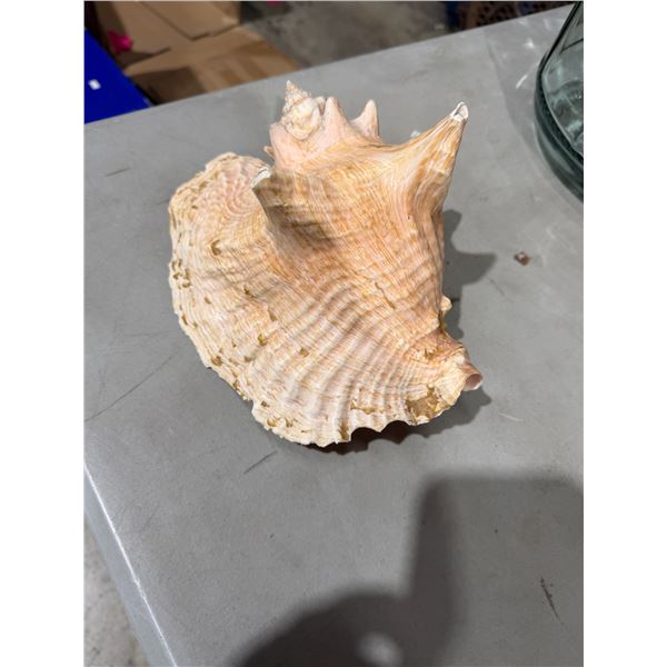 Shell