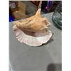 Image 2 : Shell