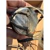Image 2 : BRANDES made in Canada matched tone headphones