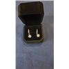Image 1 : 0.8ct dangle earrings