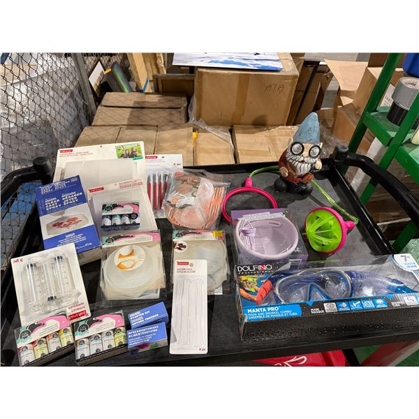 Resin items and miscellaneous items, snorkel, mask combo, etc.