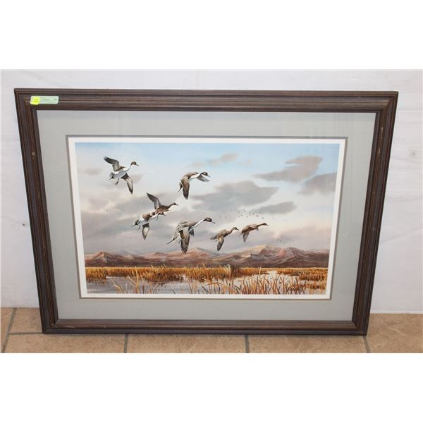 FRAMED DUCK ART 36" X 28" SIGNED AND NUMBERED