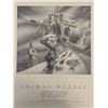 Image 2 : 1994 Sirius Portfolio #1