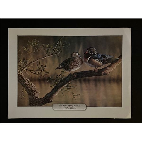Richard Clifton Bird Art Print