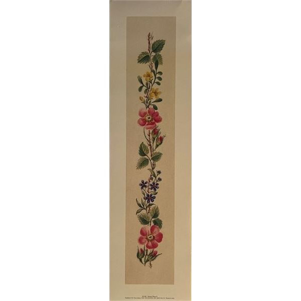 Vintage Italian String of Roses Art Print