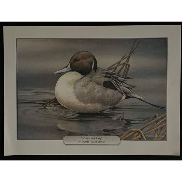 Sherrie Russell Meline Bird Art Print
