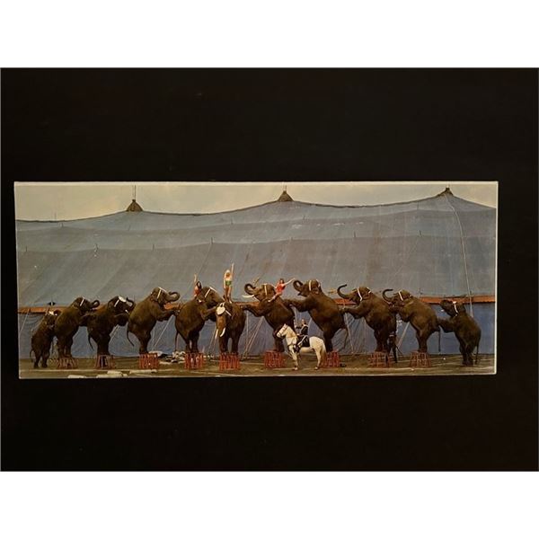 1980 Circus Vargas Gala Opening Night Invitation