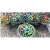 Image 6 : Five Cast Metal Flower Pots Three Large Two Small