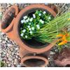 Image 5 : Three-Piece Terra-Cotta Plant Pot Display