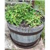 Image 5 : Cast Iron Outdoor Bench with Three Hanging Pot Holders and Decorative Garden Trellis