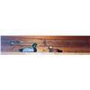 Image 1 : Spinning Fishing Rod with Reel and Two Painted Duck Decoys