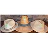 Image 1 : Straw Fedora and Mexican Straw Hat Lot – Three Pieces