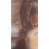 Image 9 : Framed Aquarius 39 x 15 Print of Pink Floyd Album Art and Beatles Poster with Condition Issues