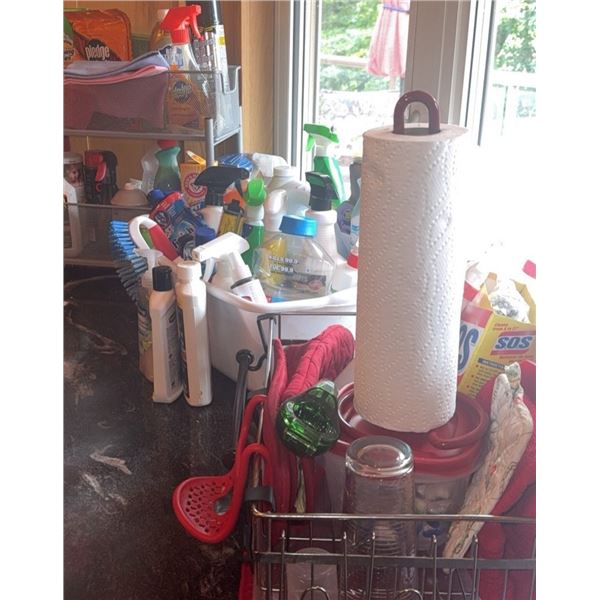 Cleaning Products and Supplies Lot