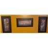 Image 1 : 3 Framed African Wildlife Prints Signed by Diane Manning