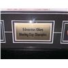 Image 2 : Framed Edmonton Oilers Stanley Cup Champion Team Photo Plaque