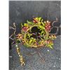 Image 1 : Decorative Wreath, Metal Jewelry Stand, and Costume Necklaces