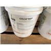 Image 2 : Qty 10 White 5-Gallon Pails CHLOR*RID Liquid Soluble Salt Remover