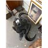 Image 3 : African Cape Buffalo Taxidermy